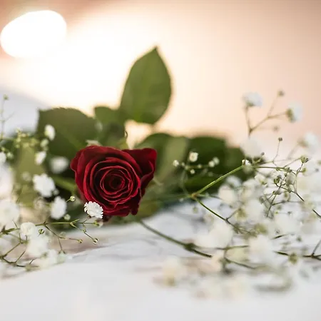 Reflet Des Sens & Balneo 圣阿德雷斯